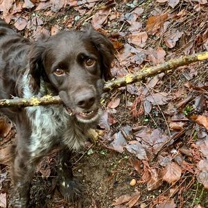 Meet your Posher, Craig